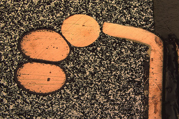 The main points of Leica fluorescence stereo microscope(图3)
