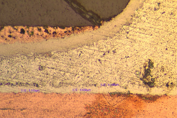 The main points of Leica fluorescence stereo microscope(图2)